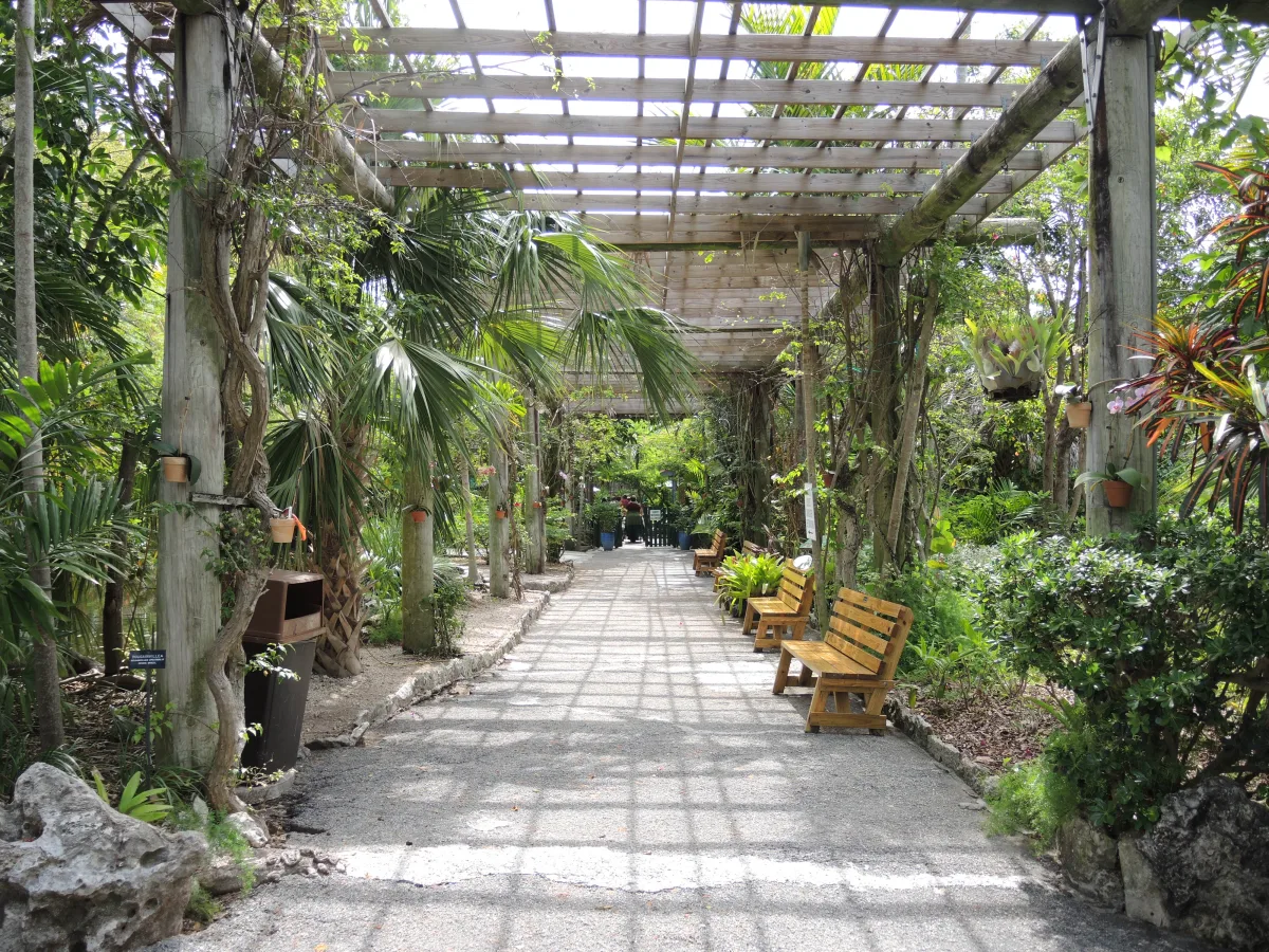 Garden of the Groves botanical park, Grand Bahama