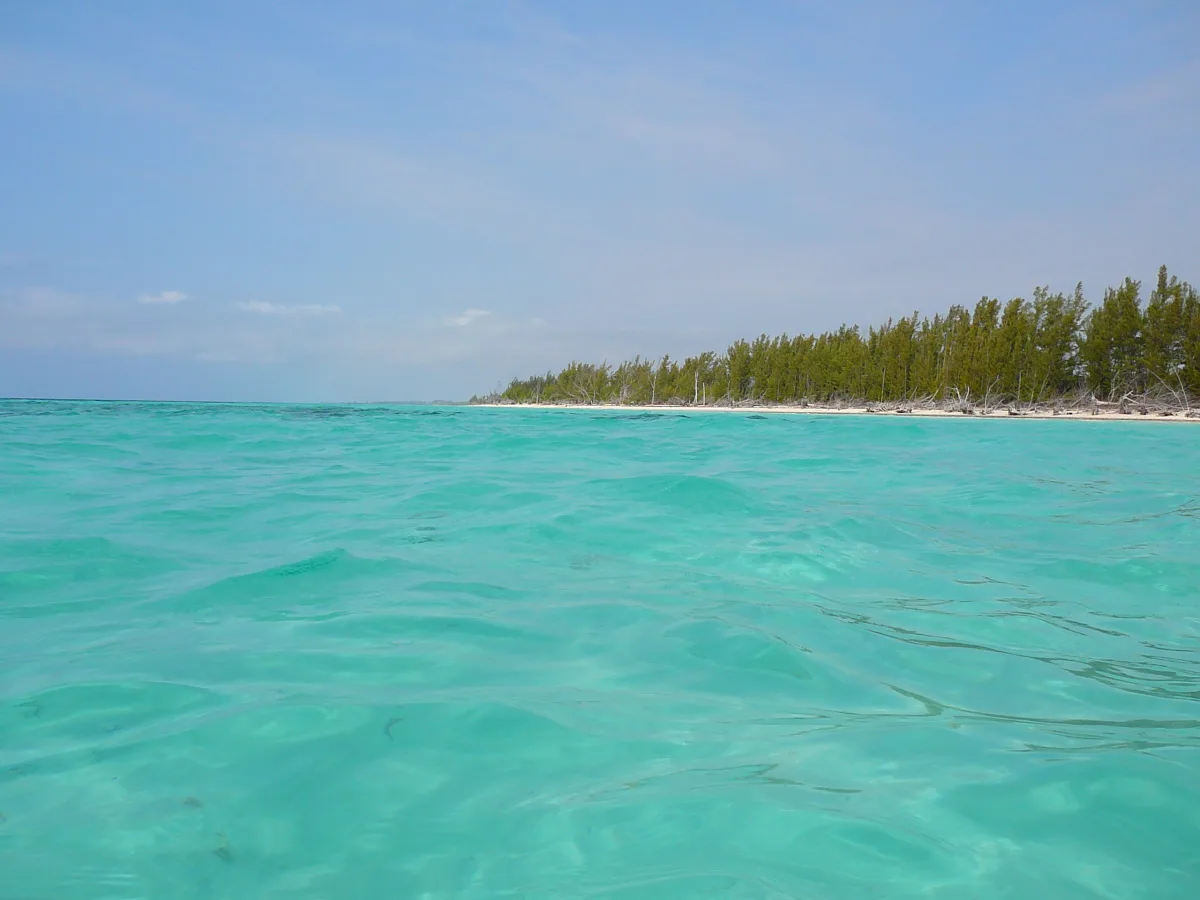 Gold Rock Beach in Lucayan National Park, Grand Bahama