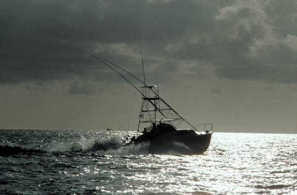 Charter fishing boat heading out for marlin tournament