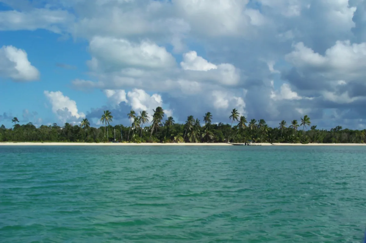 Aerial view of Andros Island, Bahamas, with turquoise shallows and creeks