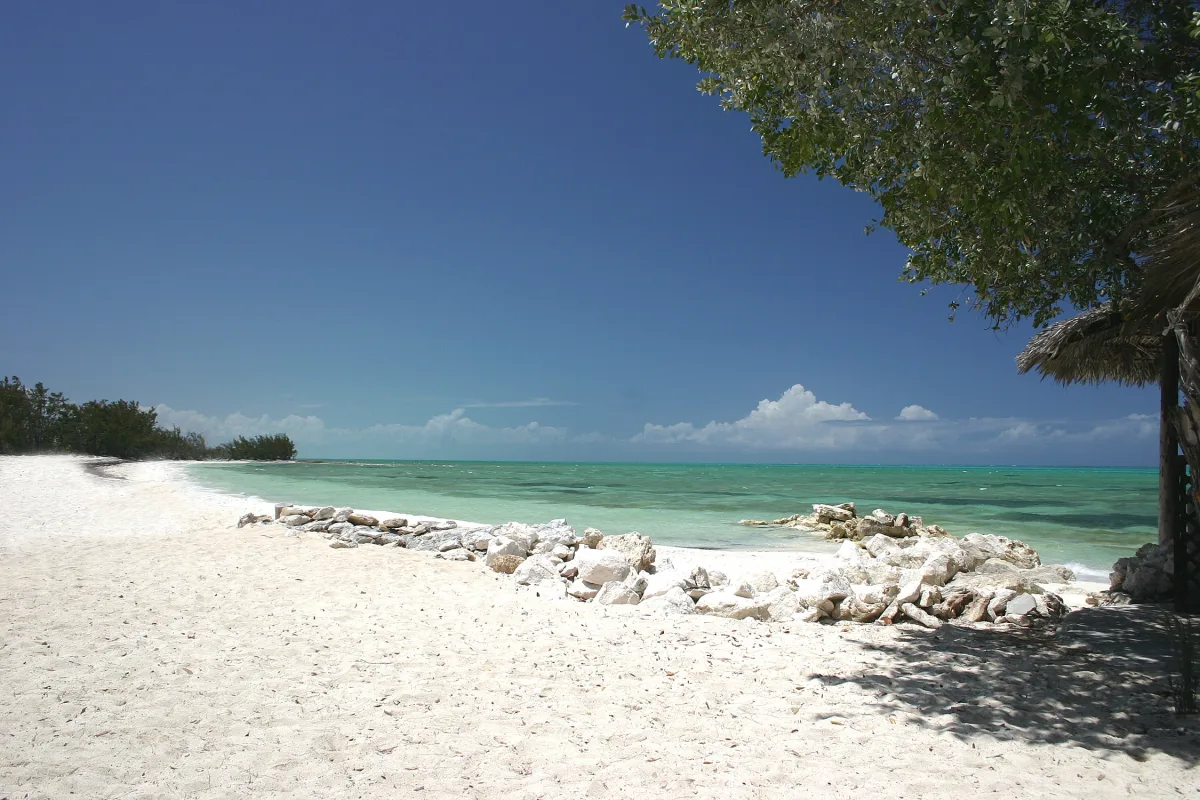 Shallow turquoise flats and beach at Small Hope Bay, Andros — prime bonefishing water