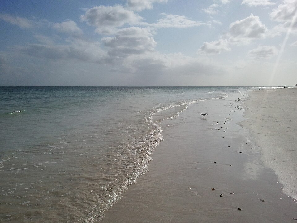 Beach on Grand Bahama Island, Bahamas