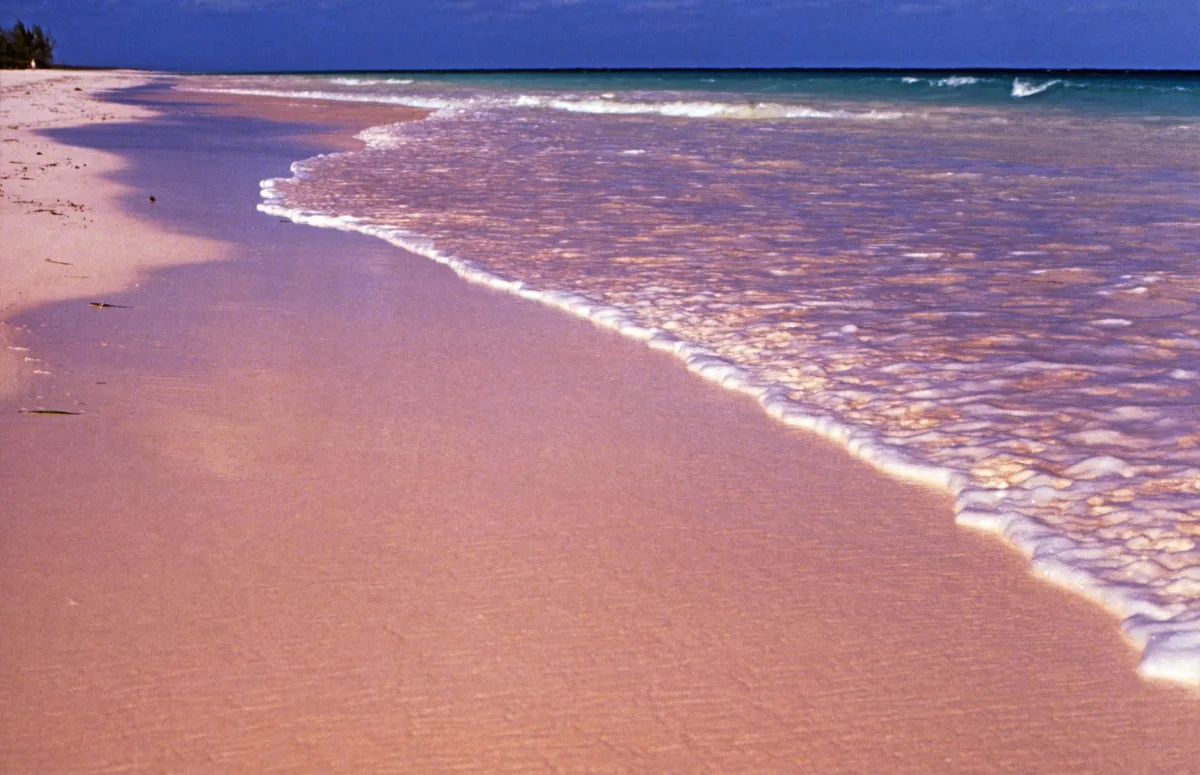 Pink-hued sand beach on Eleuthera, the same coral-and-shell sand found near Spanish Wells
