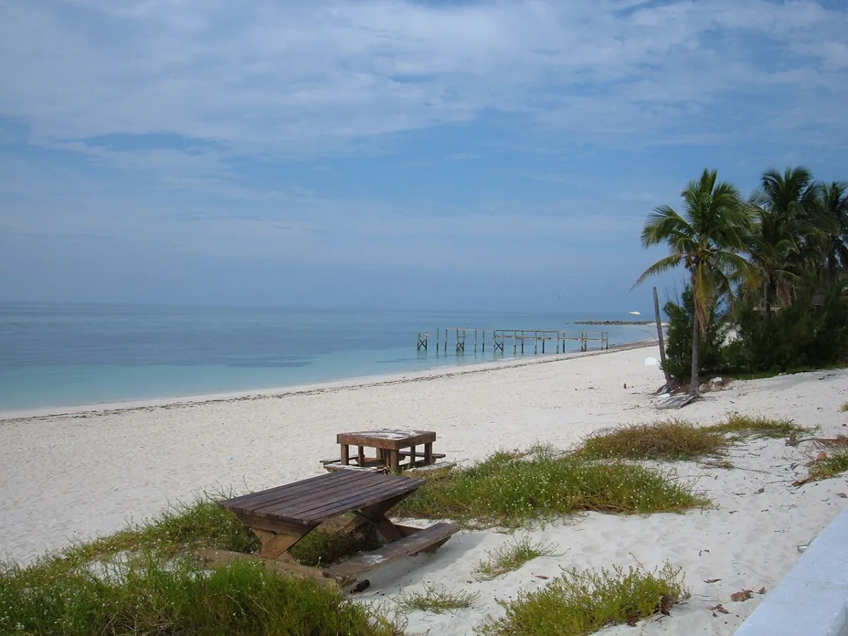 Sandy beach with calm turquoise water on Grand Bahama Island